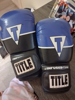 TITLE Boxing Blue and Black Sparring Gloves